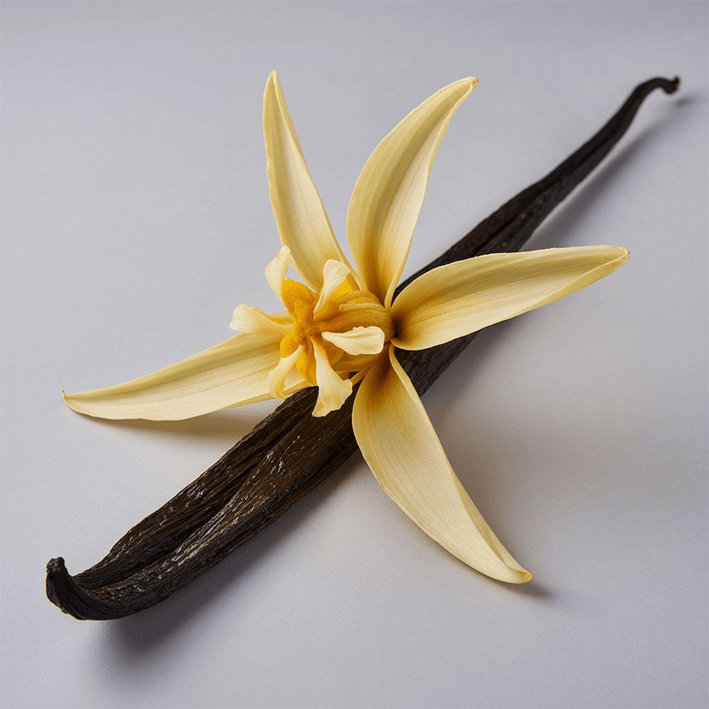 Whipped Grass-Fed Tallow Balm with Vanilla Bean